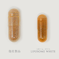 国内GMP認証工場